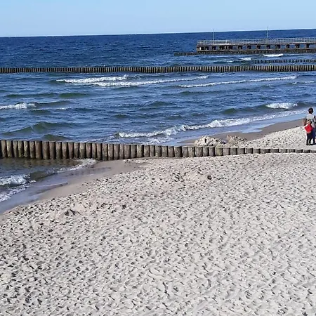 31 Domino Family Dominikana 시아노제티