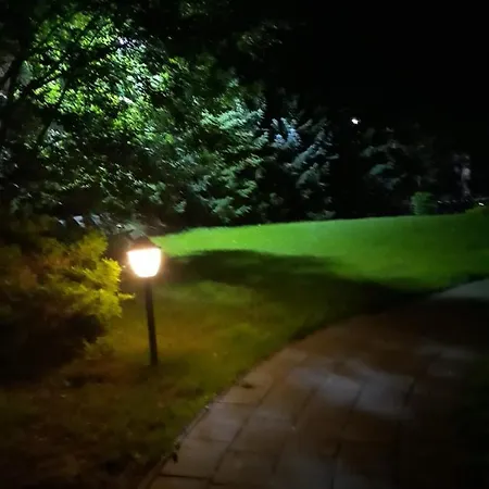 31 Domino Family Dominikana